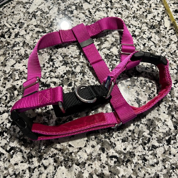 2 Hounds Design - No Pull Harness - Picture 6 of 10